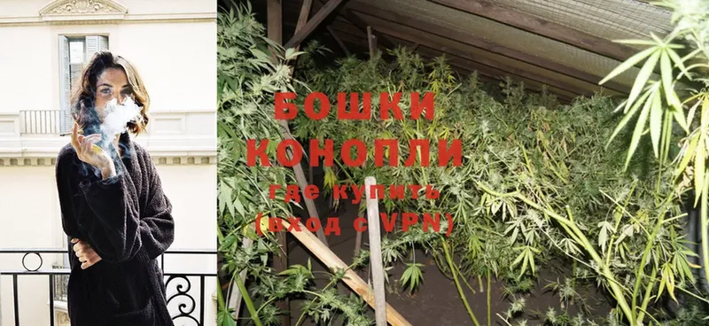 сколько стоит  Камбарка  даркнет какой сайт  Бошки Шишки OG Kush 